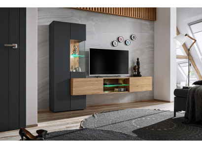 Gray Complete Wall unit Luxury Designer Shelf Living room new Furnishings