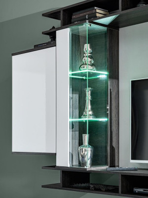 Modern Wall unit Gray Designer Living room Furniture Wood wall cabinet