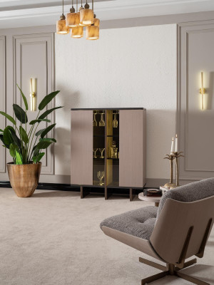 Bar cabinet Bar Display case Wardrobe Wood Living room Wine cabinet Modern