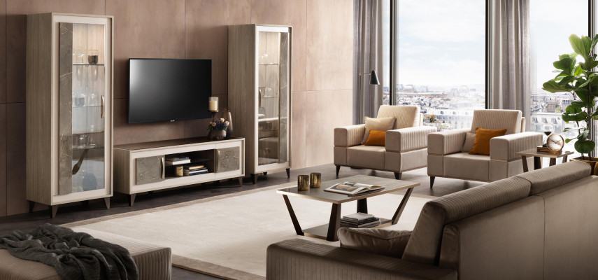 Display case Glass cabinet Shelf Bookcase Wall unit Wardrobe Furniture Shelves Living room