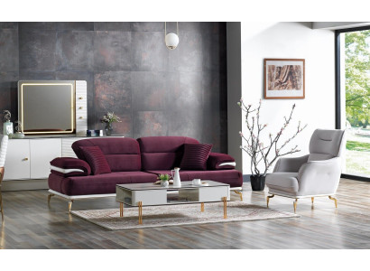 Luxury Sofa set Set Living room Sofa set Sofa set 3+1+Coffee table Modern