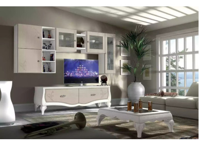 Wall unit Living room Luxury Set Display case Lowboard Wall shelf TV 5 pcs. new