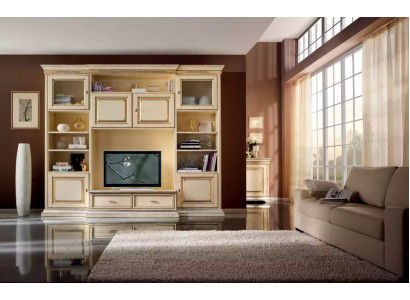Classic Living Wall Living room Sideboard TV cabinet Shelf Walls Wardrobe new