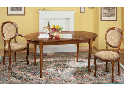 Table Set 2x Chair Dining room chair Chairs Wood Luxury Dining set Suite 3pcs new