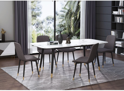 Dining room set Table 5x Chairs Seating group Dining set Dining room garnitur