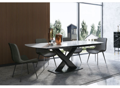 Dining room set Table 4x Chairs Seating group Dining set Dining room garnitur