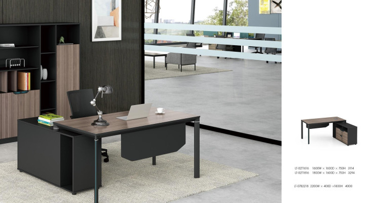 Filing cabinet Bookshelf Shelves Wardrobe Luxury Decorative Office Furniture Cabinets