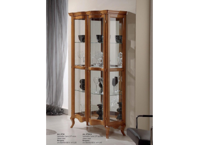 Collector Wardrobe Display case Glass Cabinets Display case Luxury Showcases Furniture Glass Cabinet