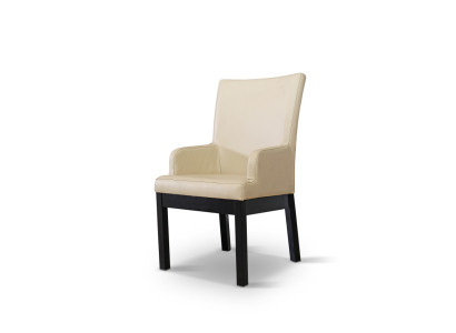 Dining room chair Set 20x Chair Armchair Wood Leather Upholstery Chair Gastro Dining room