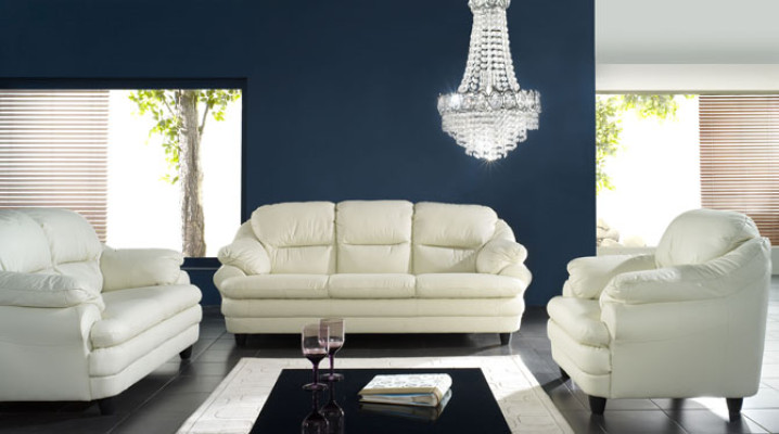 Cinema Couch Three Seater Couch 3 Seater Upholstery Sofa Leather Sofas Couches
