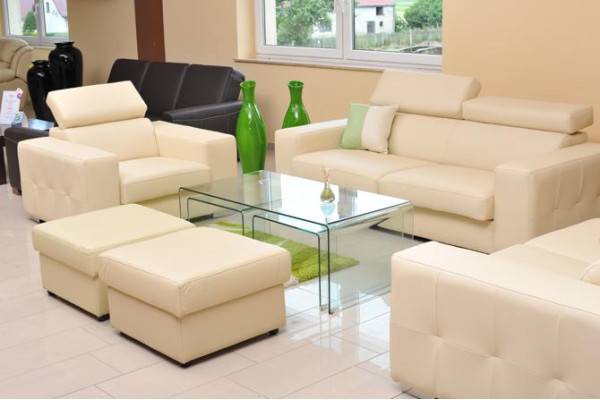 Sofa 2 Seater Design Sofas Upholstery Couches Leather Relax Modern Two-seater