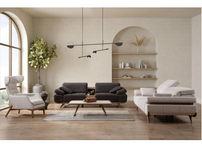 Two-tone Living room Sofa set Modern 3+2 Seater Luxury Armchair