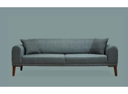 Luxurious Modern Sofa 3 Seater Design sofa Three Seater Upholstery Wood
