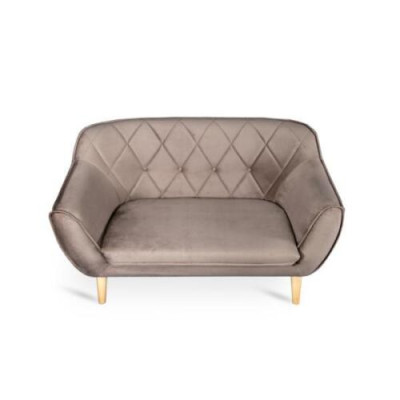 Refined 2-seater sofa in modern style from European furniture manufacturers