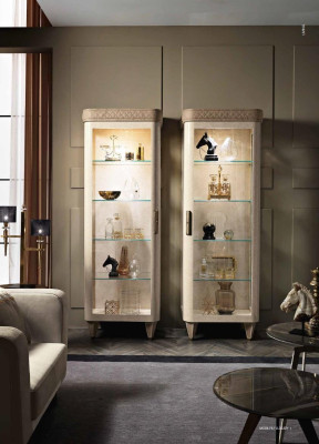 Showcases Glass Wardrobe Cabinets Shelf Wood Display case Design Modern Living room new