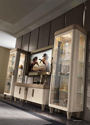 Showcases Glass Wardrobe Cabinets Shelf Wood Display case Design Modern Living room new
